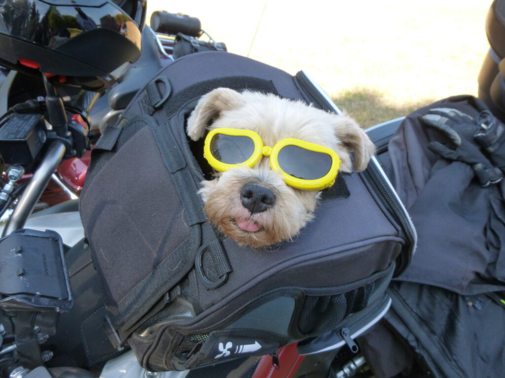 Barbecue du 14 juillet avec le Club moto de Chartres Les Tailleurs de Brume